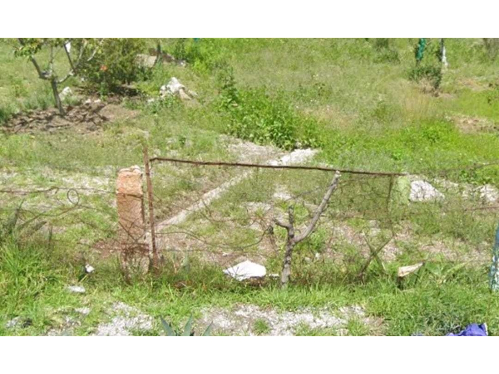 SE VENDE TERRENO EN PUEBLO DE LA CRUZ HUAMANTLA - 6