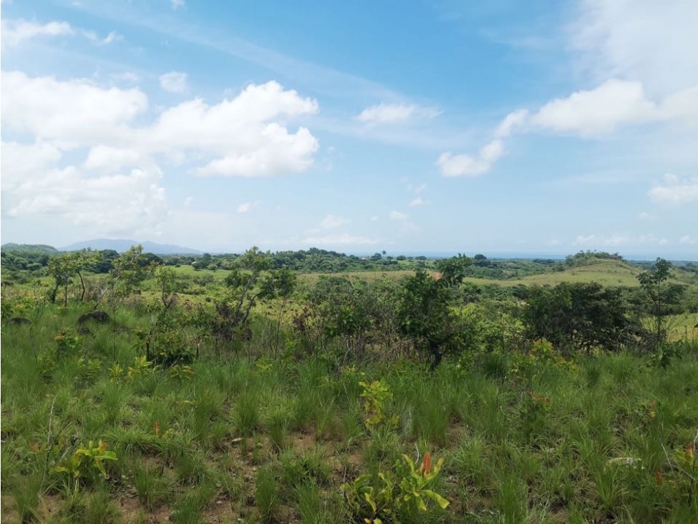 Se Vende Terreno en San Carlos - 2