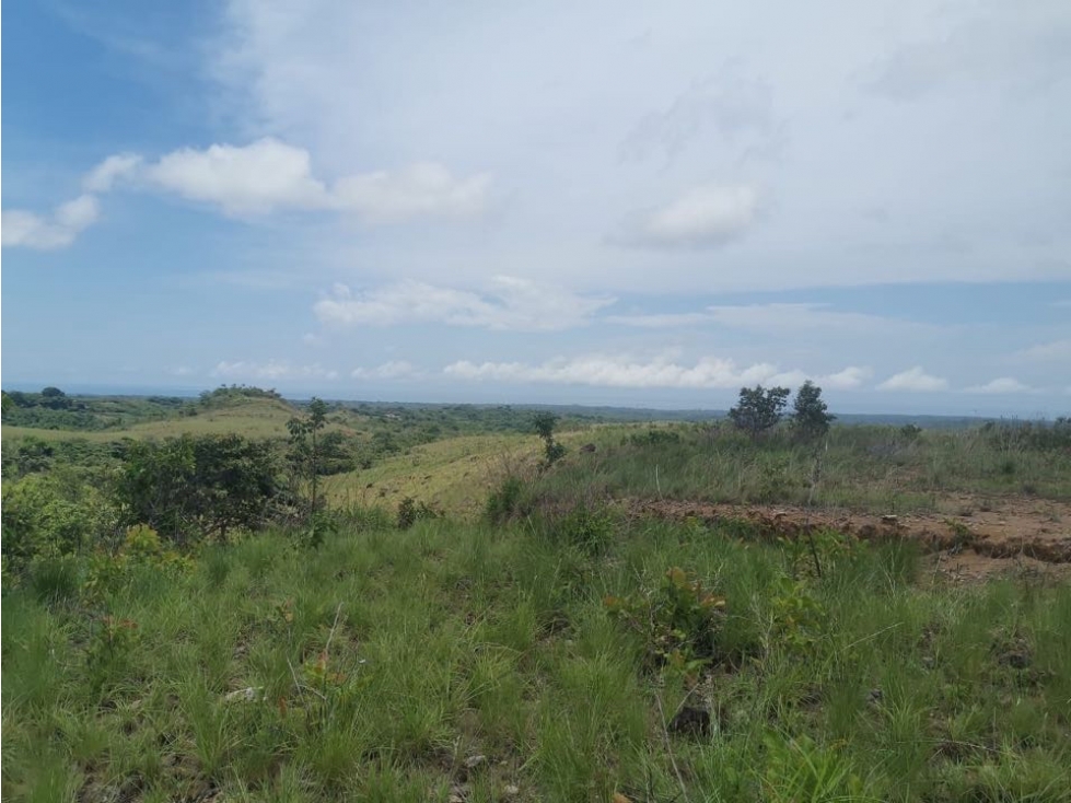 Se Vende Terreno en San Carlos - 3