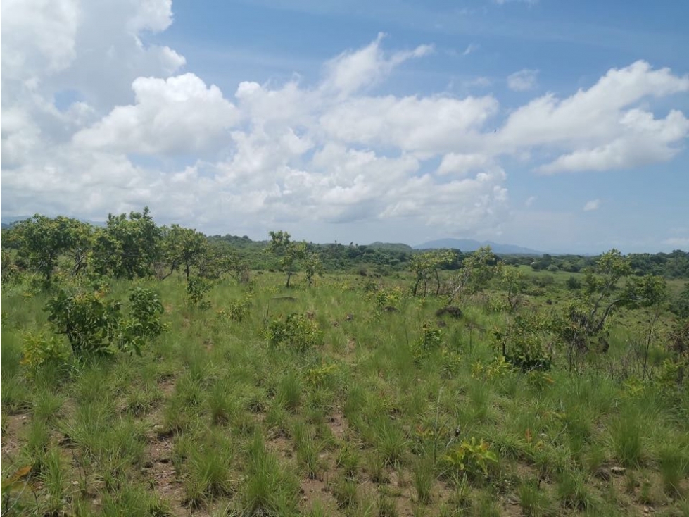 Se Vende Terreno en San Carlos - 5
