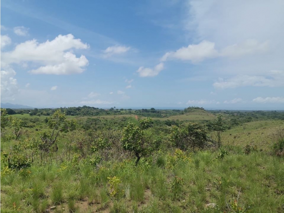 Se Vende Terreno en San Carlos - 6