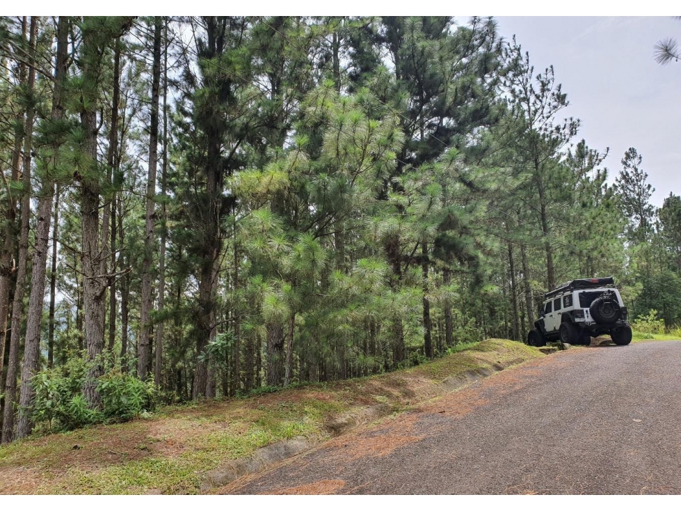 SE VENDE TERRENO EN SORA, CHAME — foto 4