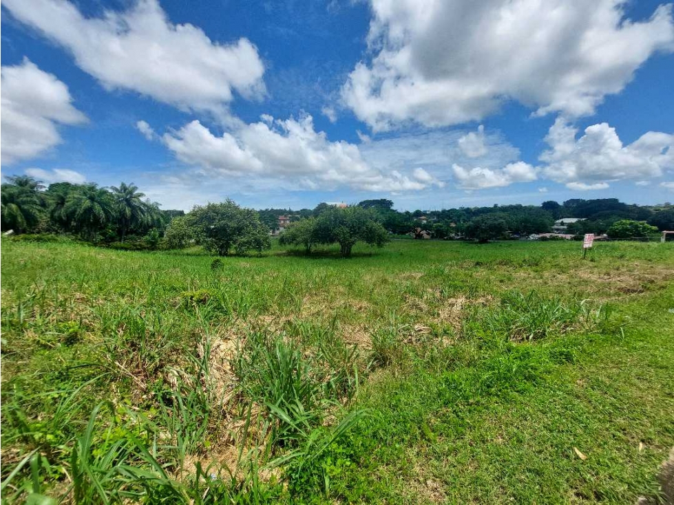 Se vende terreno en zona comercial Chitre. - 2