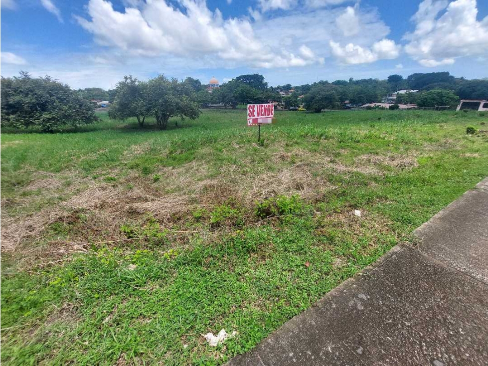 Se vende terreno en zona comercial Chitre. - 4