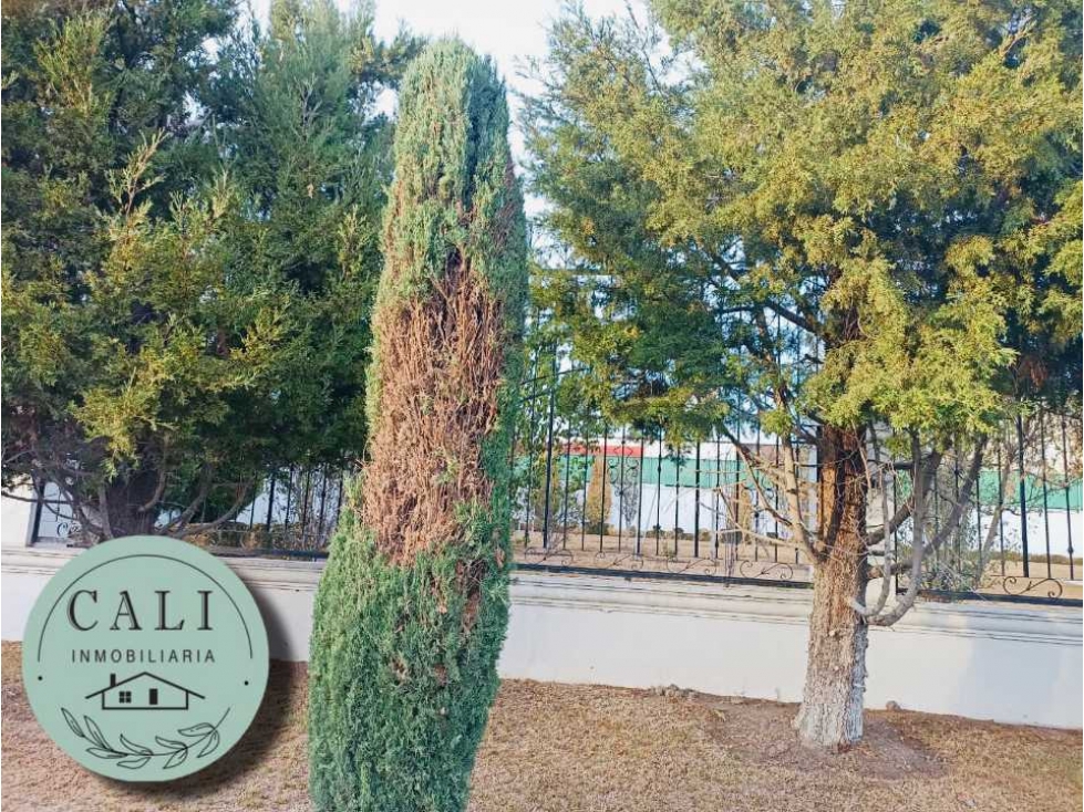 Se Vende Terreno en Zona Plateada, Pachuca Hidalgo — foto 3