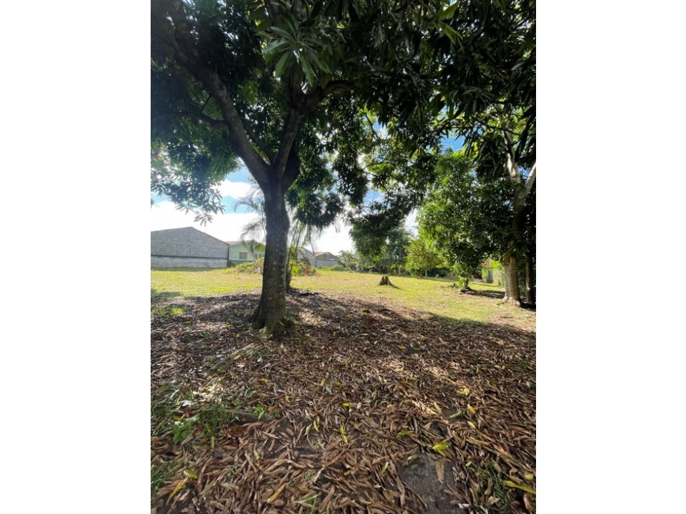 Se Vende Terreno , La Chorrera - 2