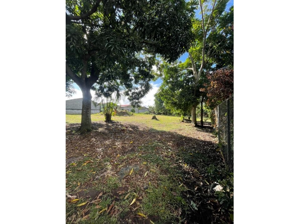 Se Vende Terreno , La Chorrera - 3
