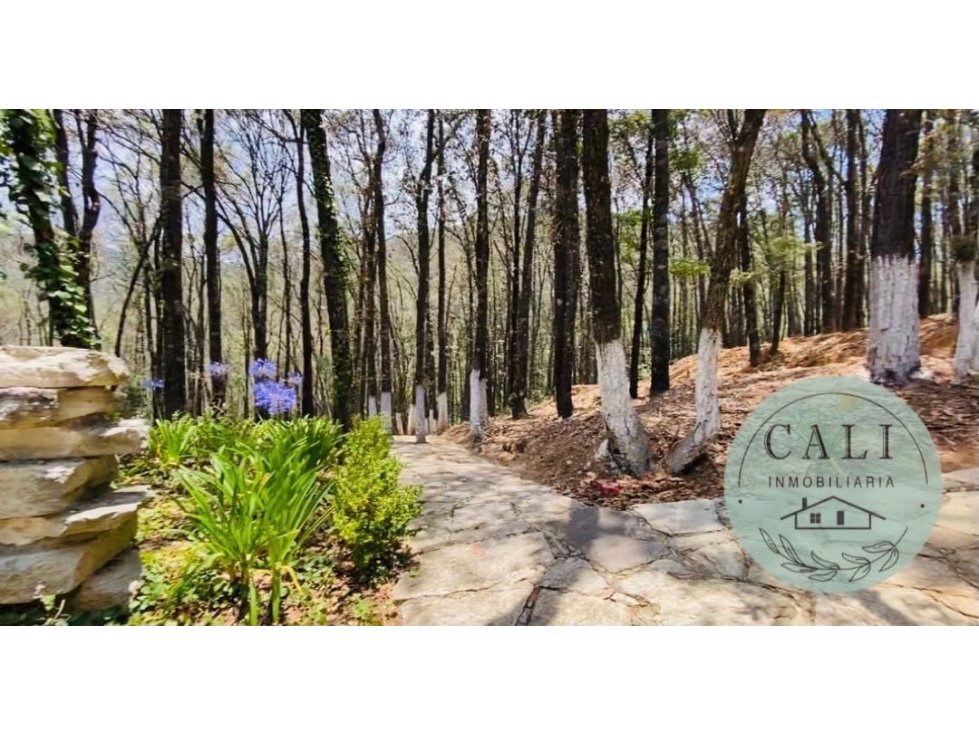 Terreno en VENTA en Bosques de Zumate, Omitlan Hidalgo