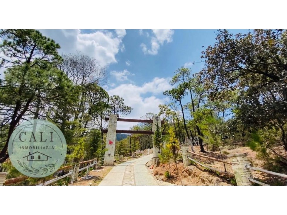 Terreno en VENTA en Bosques de Zumate, Omitlan Hidalgo — foto 3