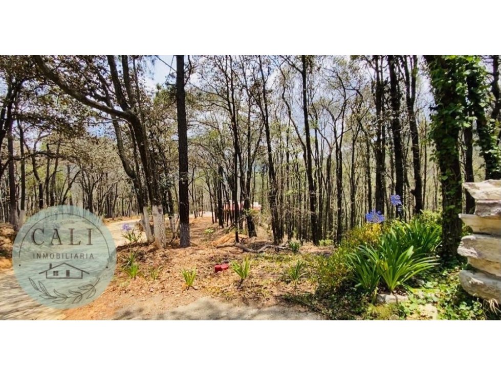 Terreno en VENTA en Bosques de Zumate, Omitlan Hidalgo — foto 4
