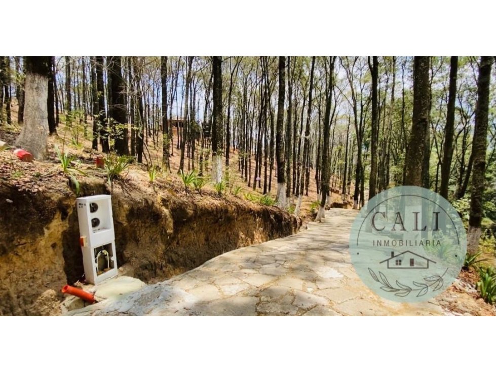 Terreno en VENTA en Bosques de Zumate, Omitlan Hidalgo — foto 5