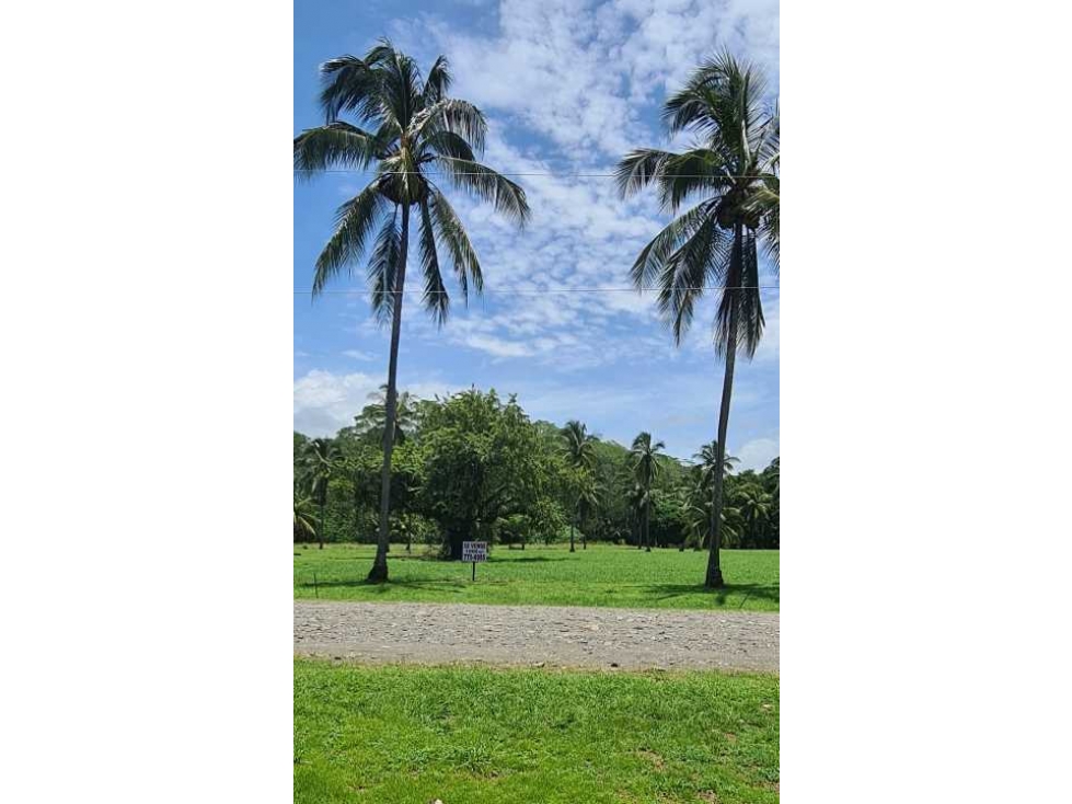 SE VENDE TERRENO PLAYA LAS LAJAS CHIRIQUÍ - 4