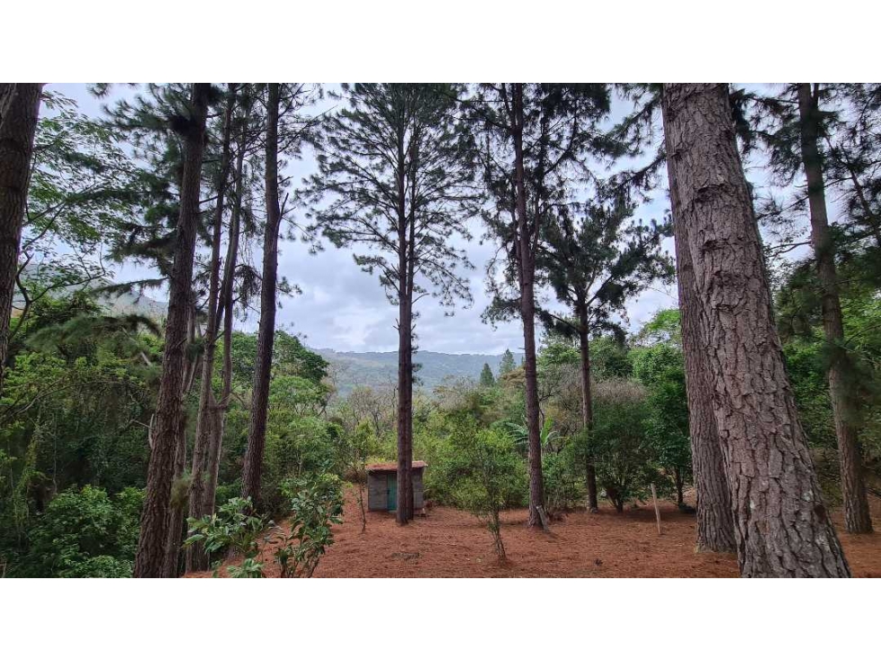 SE VENDE TERRENO PRIVADO EN ALTOS DEL MARIA - 1