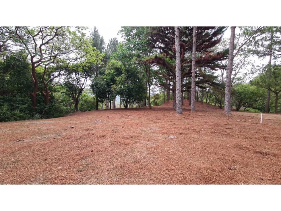 SE VENDE TERRENO PRIVADO EN ALTOS DEL MARIA - 3