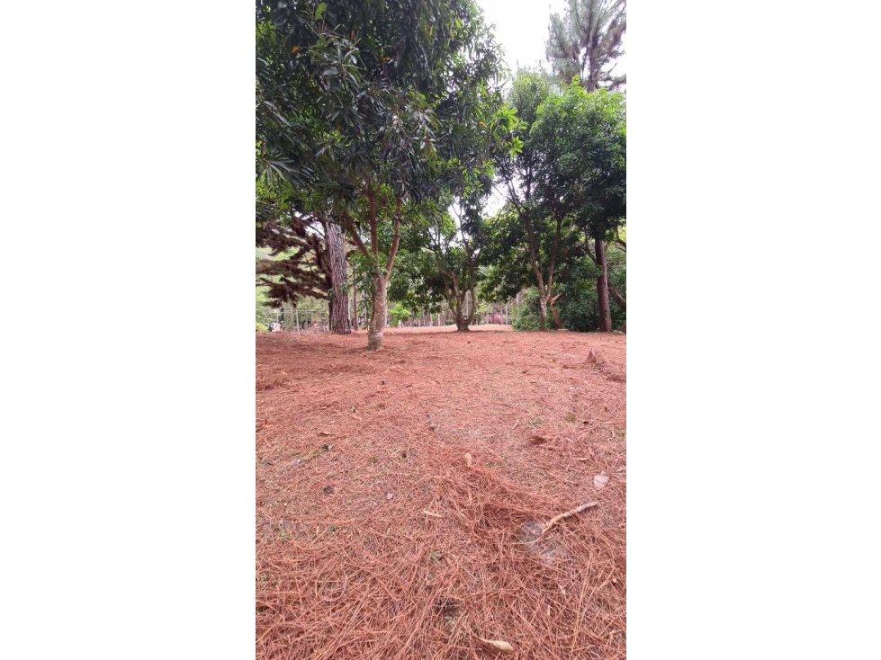 SE VENDE TERRENO PRIVADO EN ALTOS DEL MARIA - 4