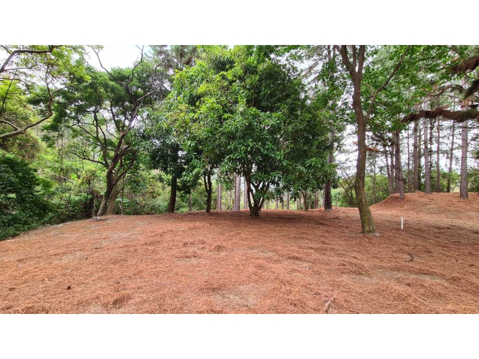 SE VENDE TERRENO PRIVADO EN ALTOS DEL MARIA - 5