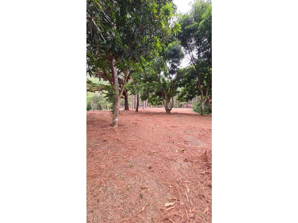 SE VENDE TERRENO PRIVADO EN ALTOS DEL MARIA - 6
