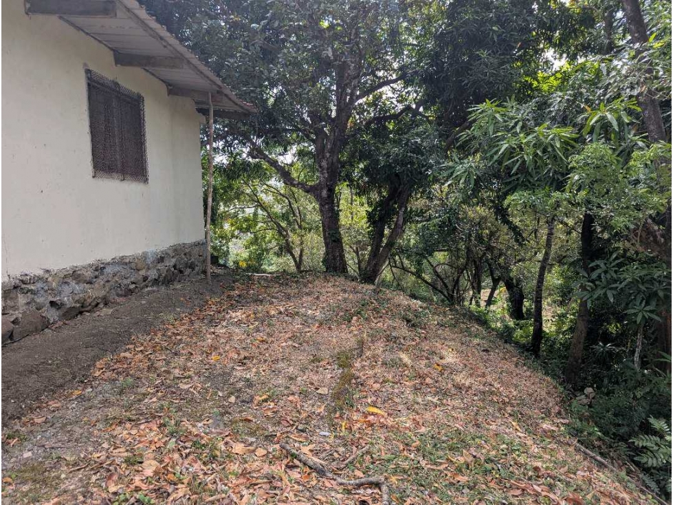 Se vende Terreno Vía Bejuco-Sorá, pocos km de Cajones de Chame — foto 4