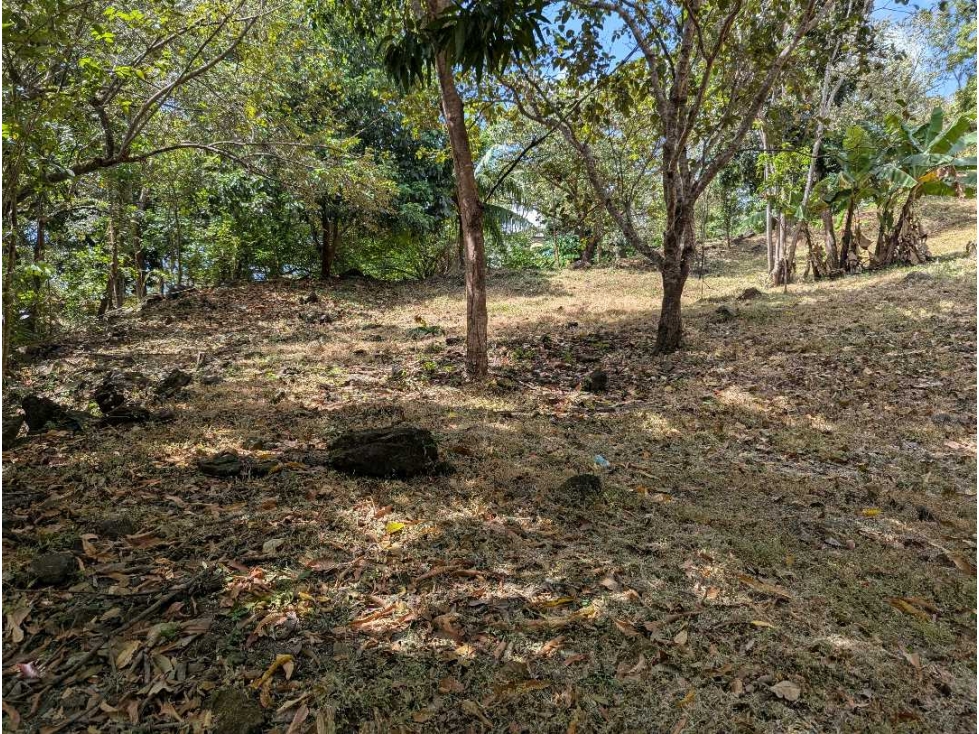 Se vende Terreno Vía Bejuco-Sorá, pocos km de Cajones de Chame — foto 5