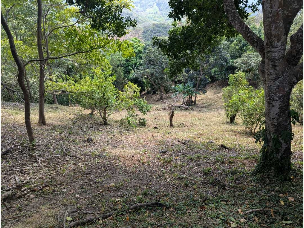 Se vende Terreno Vía Bejuco-Sorá, pocos km de Cajones de Chame — foto 6