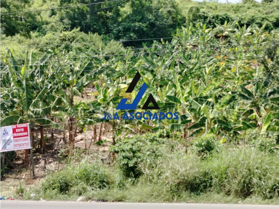 Se vende terreno via Portoviejo cerca del Peaje - 2