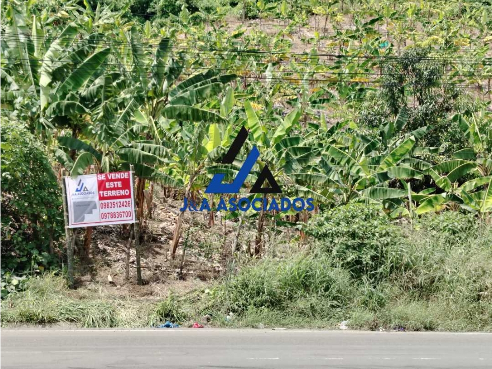 Se vende terreno via Portoviejo cerca del Peaje - 3