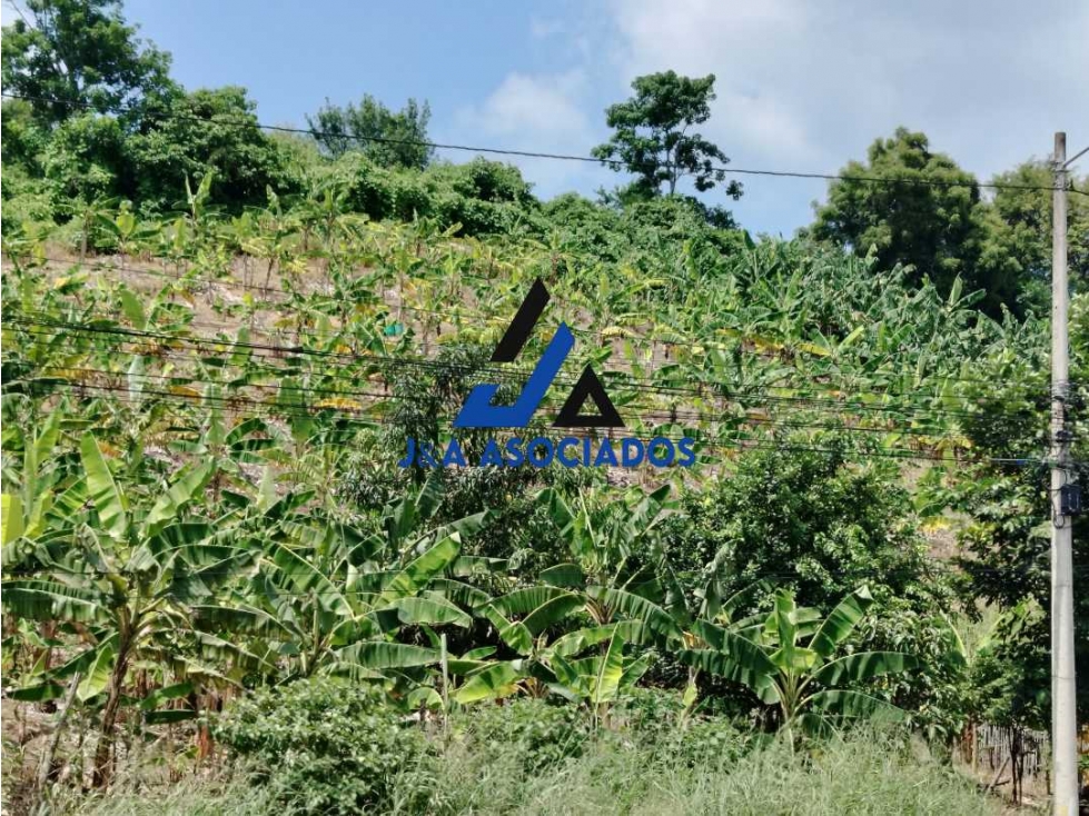 Se vende terreno via Portoviejo cerca del Peaje - 4