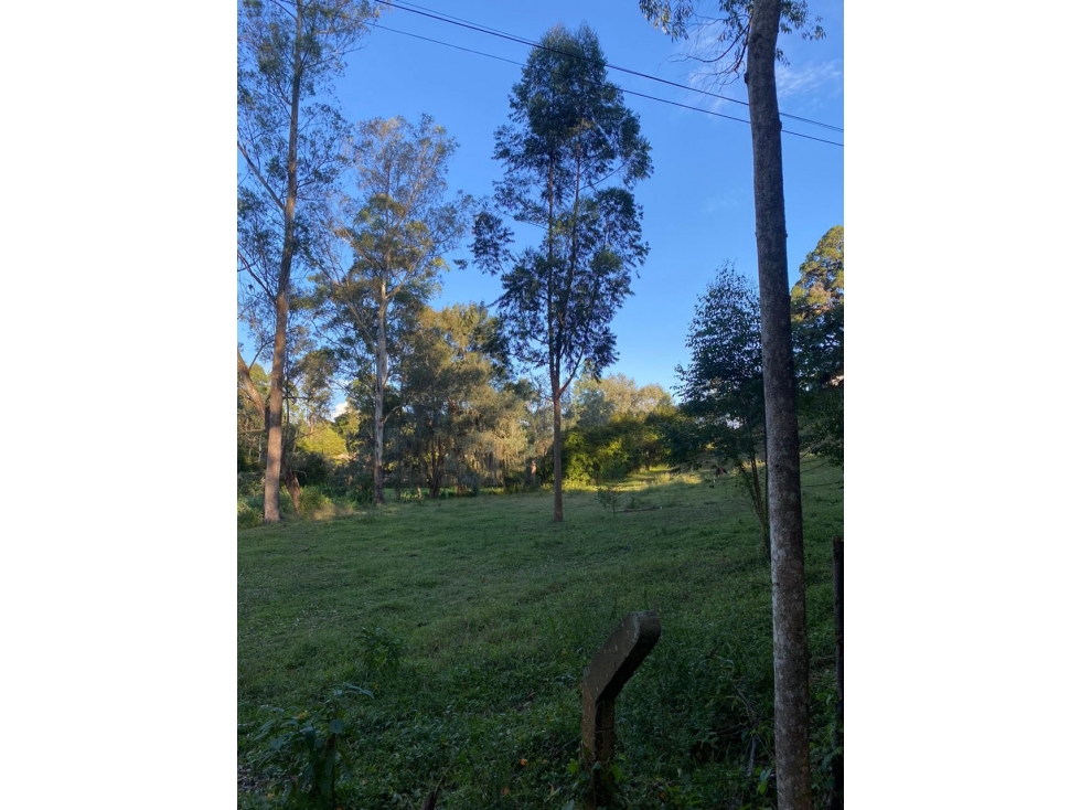 SE VENDE LOTE DE ENSUEÑO EN RIONEGRO. EL TABLAZO — foto 4