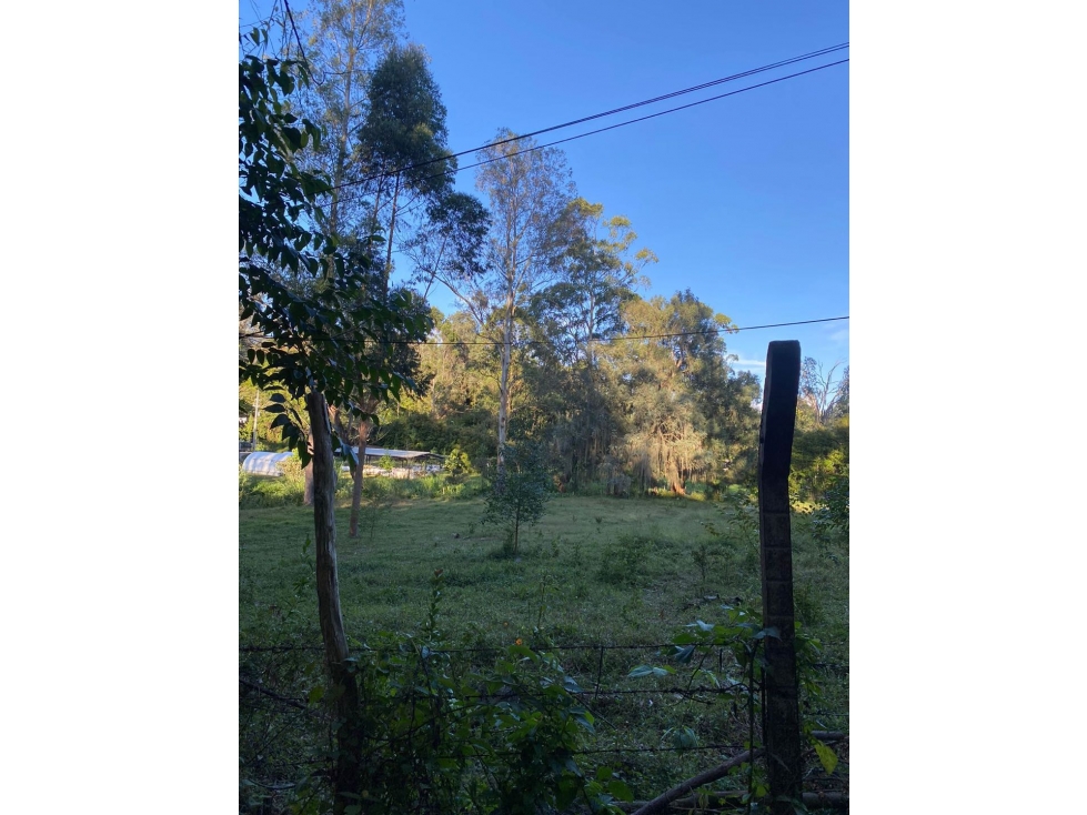 SE VENDE LOTE DE ENSUEÑO EN RIONEGRO. EL TABLAZO — foto 5