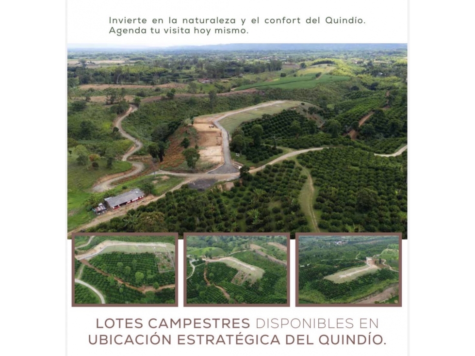 SE VENDEN LOTES CAMPESTRES A 2 KILOMETROS DE QUIMBAYA — foto 3