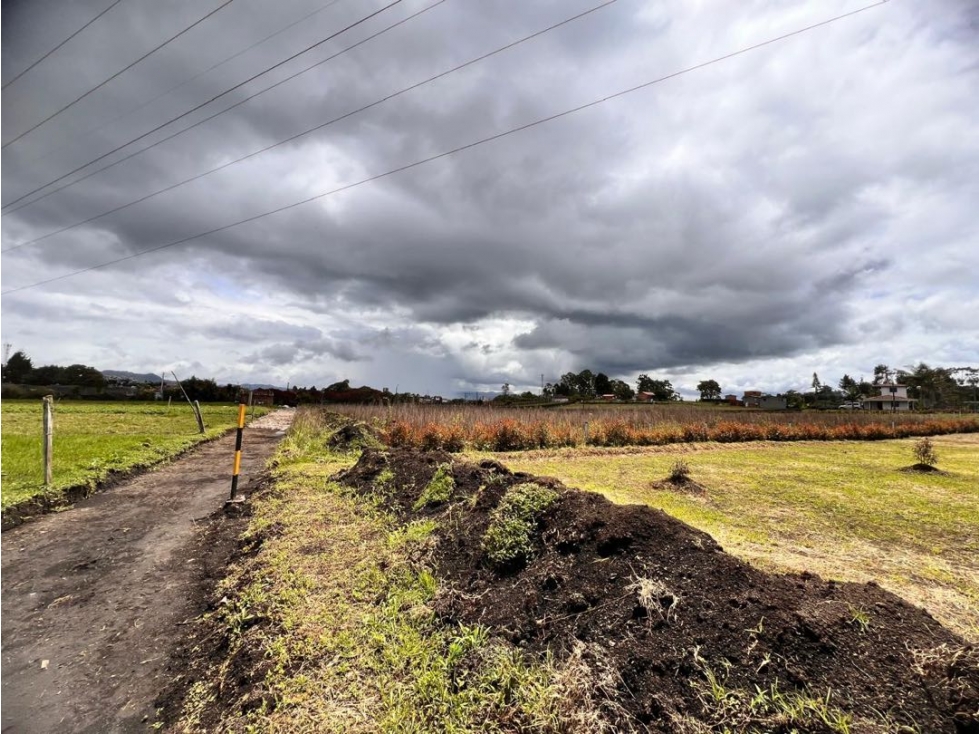 SE VENDEN DOS HERMOSOS LOTES EN LA VEREDA BETANIA ~ EL CARMEN DE VIB. — foto 3