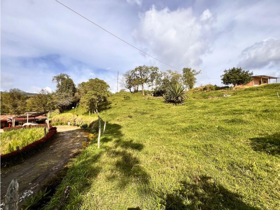 SE VENDEN DOS HERMOSOS LOTES EN LA VEREDA BETANIA ~ EL CARMEN DE VIB. — foto 4