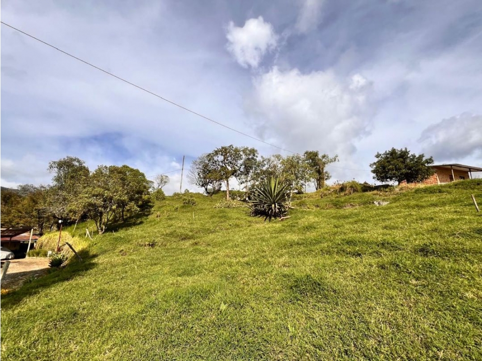 SE VENDEN DOS HERMOSOS LOTES EN LA VEREDA BETANIA ~ EL CARMEN DE VIB. — foto 5