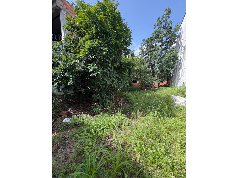SE VENDEN DOS LOTES BARRIO LA ESPERANZA, YOPAL CASANARE — foto 3
