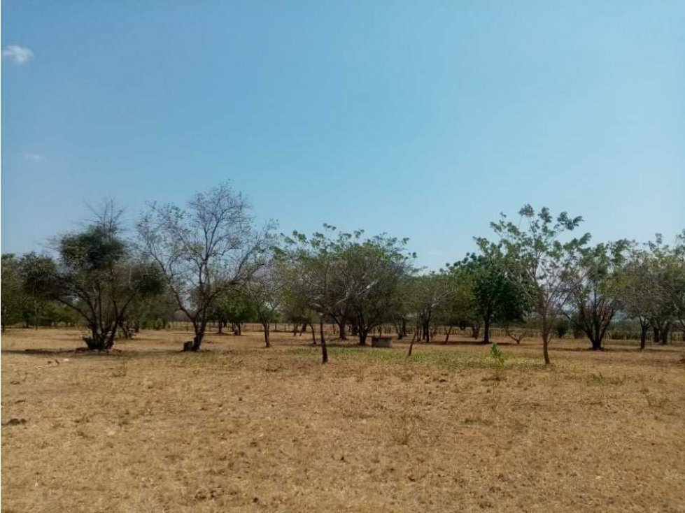 SE VENDEN LOTES CAMPESTRE LAS MARIAS - 3