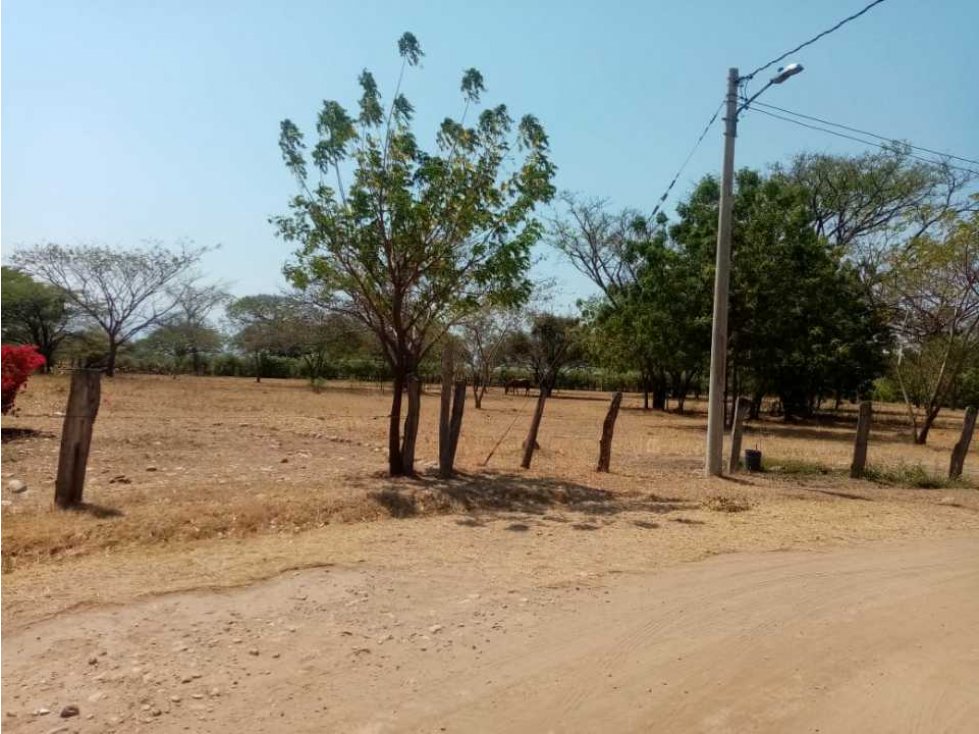SE VENDEN LOTES CAMPESTRE LAS MARIAS - 4