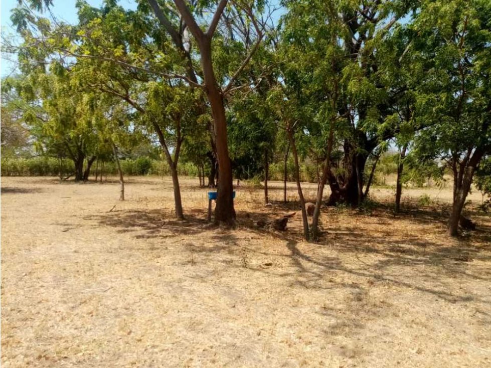 SE VENDEN LOTES CAMPESTRE LAS MARIAS - 6