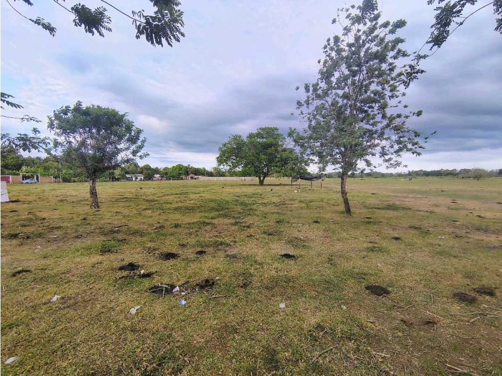 SE VENDEN LOTES CAMPESTRES EN LOS PERICOS