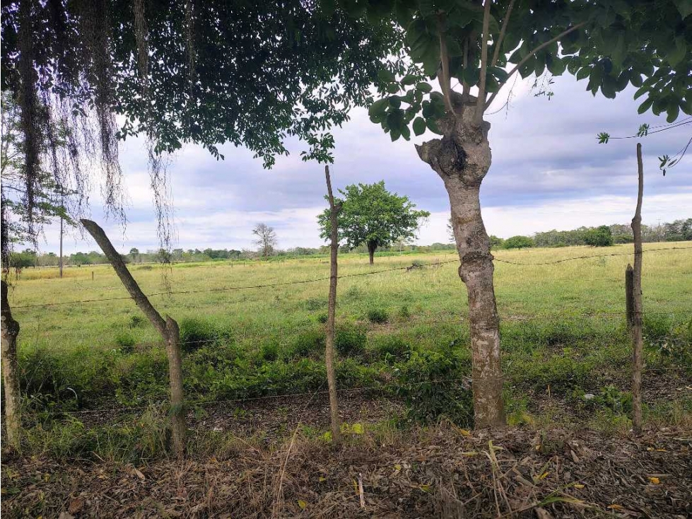 SE VENDEN LOTES CAMPESTRES EN LOS PERICOS — foto 2