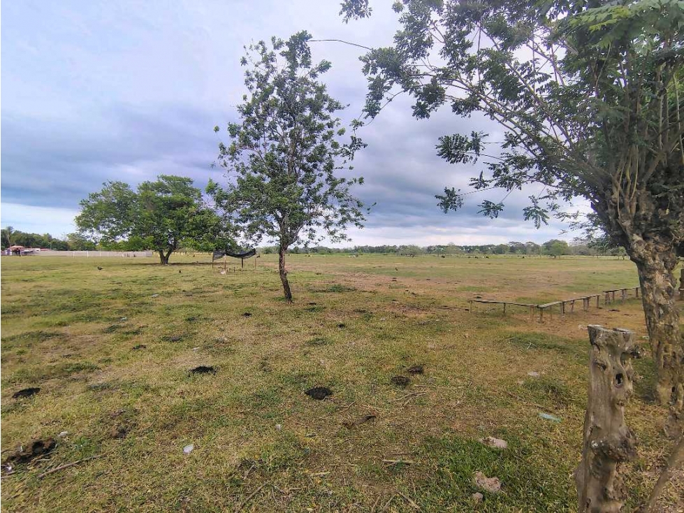 SE VENDEN LOTES CAMPESTRES EN LOS PERICOS — foto 3