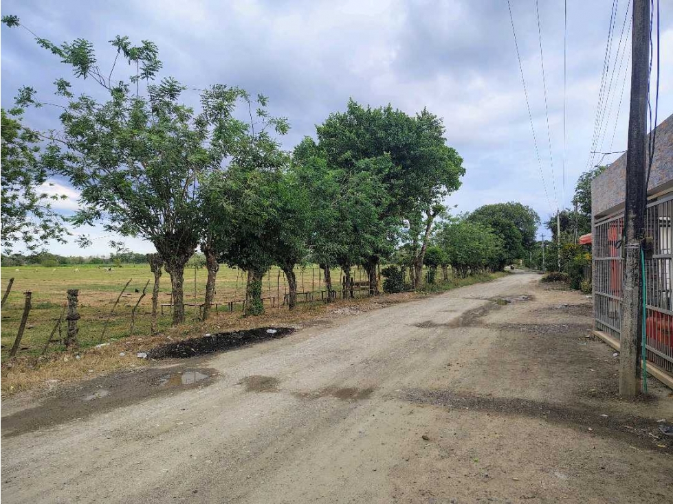 SE VENDEN LOTES CAMPESTRES EN LOS PERICOS — foto 4