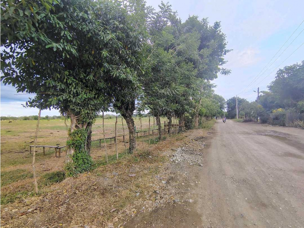 SE VENDEN LOTES CAMPESTRES EN LOS PERICOS — foto 5