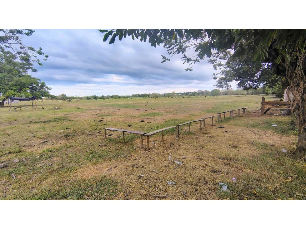 SE VENDEN LOTES CAMPESTRES EN LOS PERICOS — foto 6