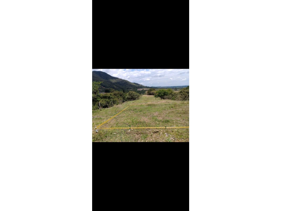SE VENDEN LOTES CAMPESTRES EN EL CERRITO-VALLE DEL CAUCA IC10414930 - 1