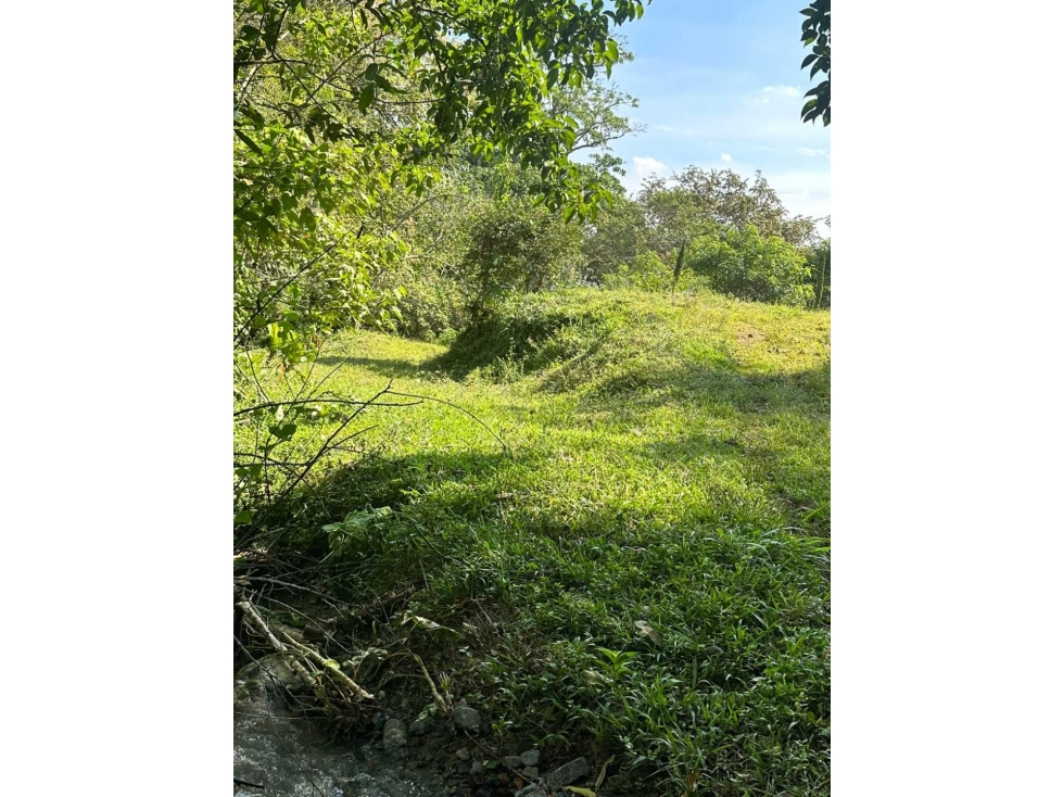 SE VENDEN LOTES CAMPESTRES EN EL CERRITO-VALLE DEL CAUCA IC10414930 - 5