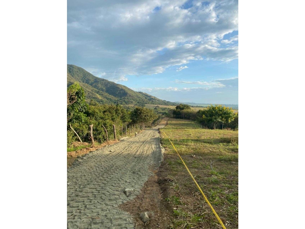 SE VENDEN LOTES CAMPESTRES EN EL CERRITO-VALLE DEL CAUCA IC10414930 - 6