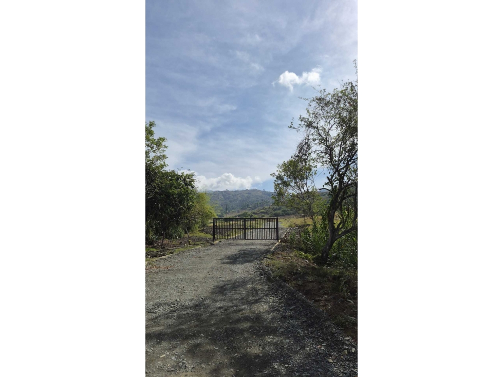 SE VENDEN LOTES CAMPESTRES EN CONDOMINIO GINEBRA - 1