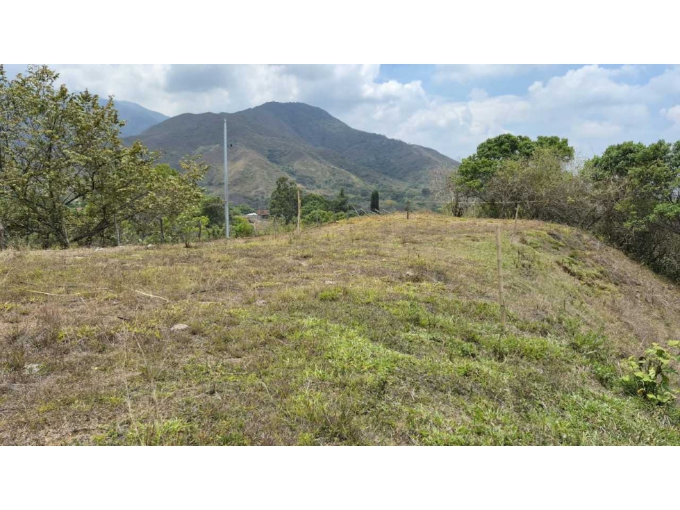 SE VENDEN LOTES CAMPESTRES EN EL CERRITO VALLE DEL CAUCA XU: — foto 2