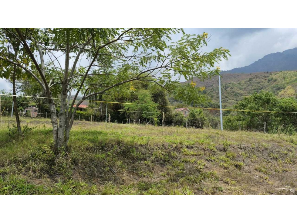 SE VENDEN LOTES CAMPESTRES EN EL CERRITO VALLE DEL CAUCA XU: — foto 4