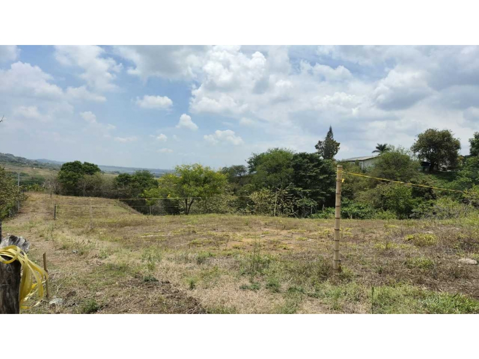 SE VENDEN LOTES CAMPESTRES EN EL CERRITO VALLE DEL CAUCA XU: — foto 6